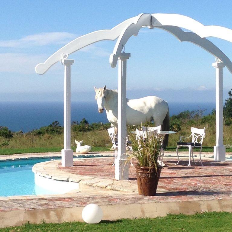 0 Bedroom Property for Sale in Roodefontein Western Cape